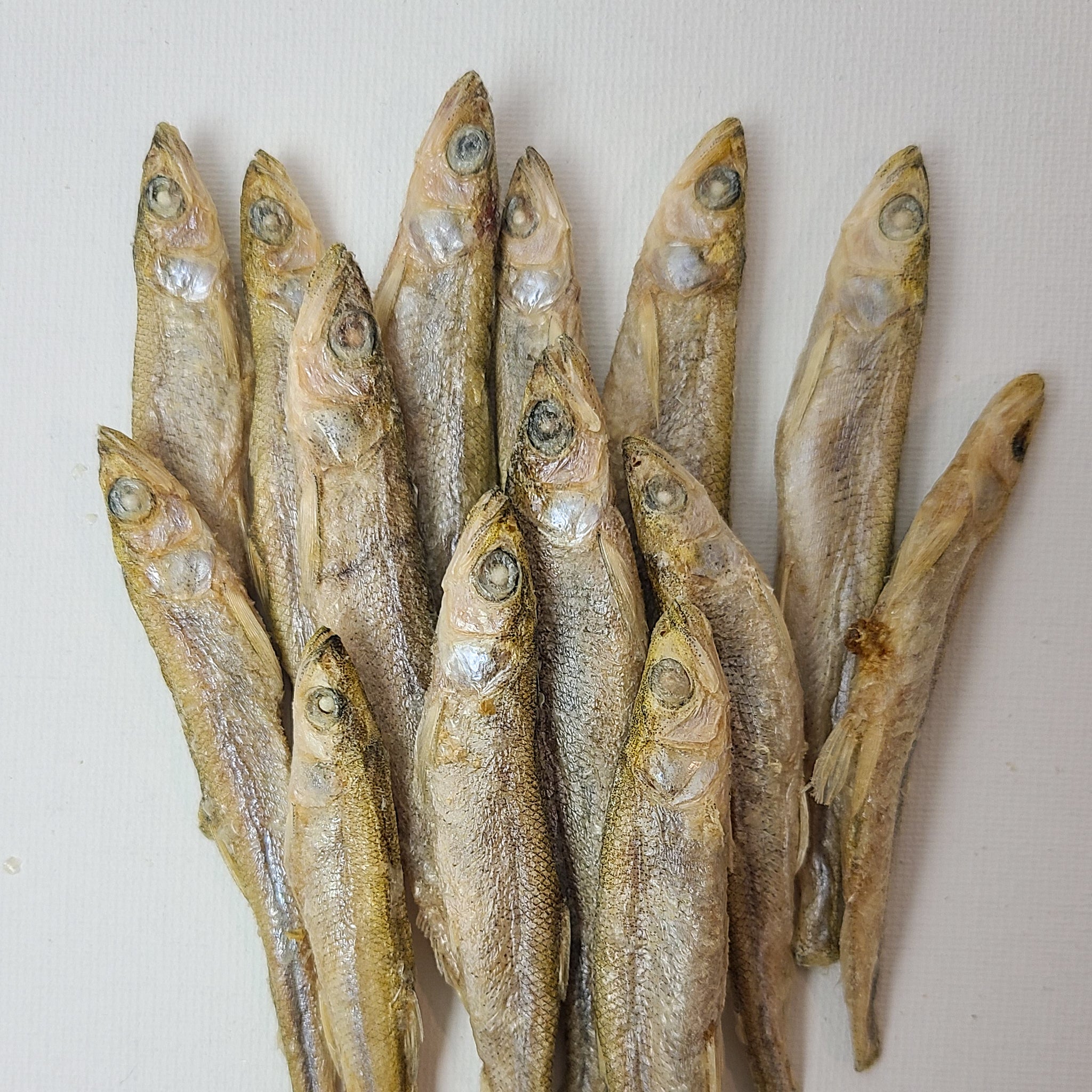 Smelt