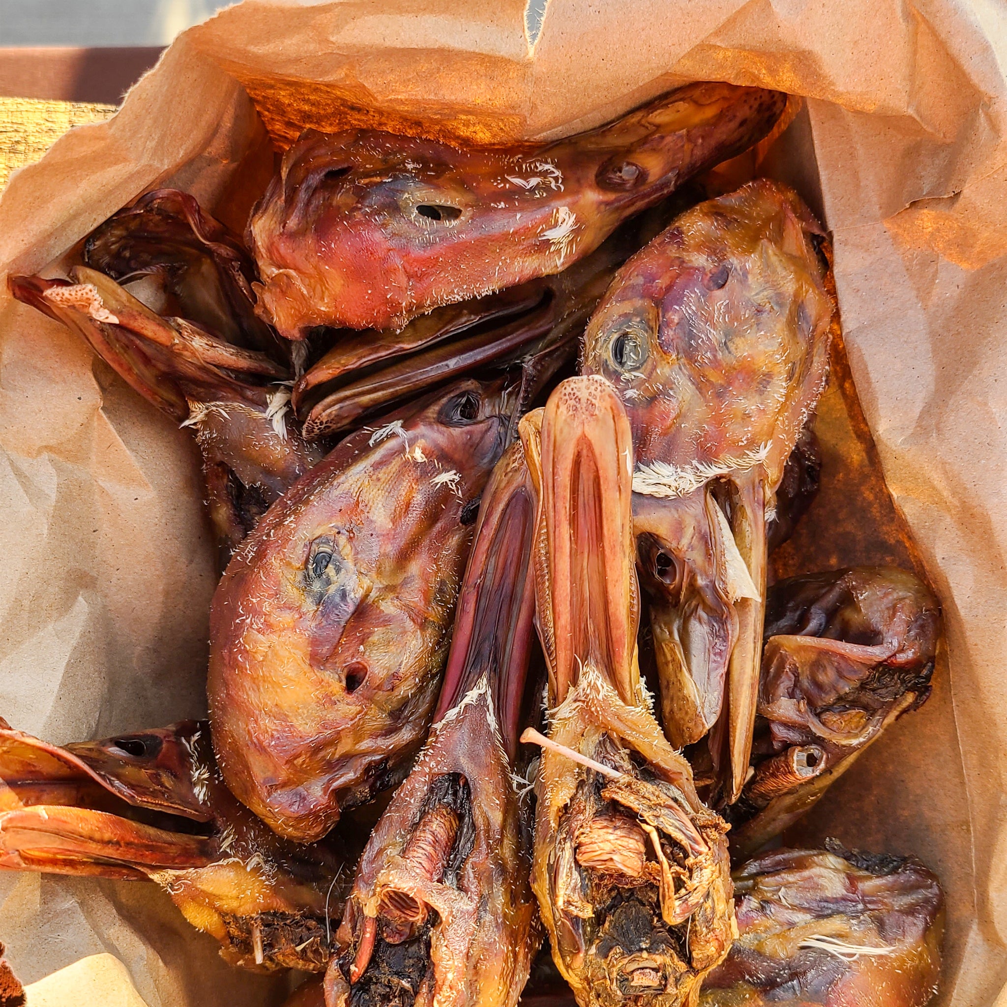 Duck Heads